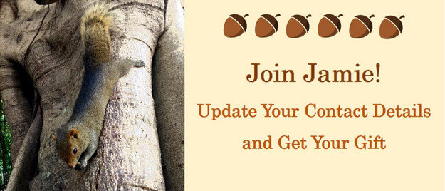 Banner of the “Update your contact details and get your gift” initiative – HKUSquirrel Jamie