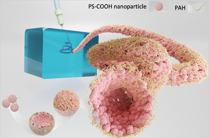 HKU Engineering and Lawrence Berkeley National Laboratory researchers pioneer biocompatible all-water “Aquabots”