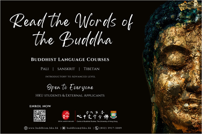 Unlock the wisdom of Buddhism through the timeless beauty of its languages