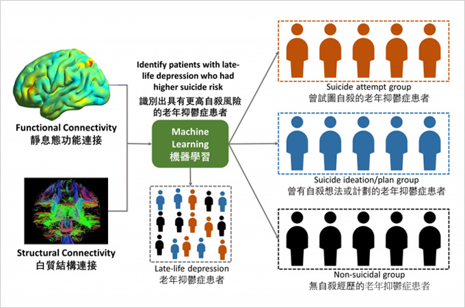 HKU study reveals brain connectivity patterns can predict suicide risk in patients with late-life depression