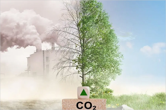 Making China's Carbon Market to Work: Additions and Subtractions