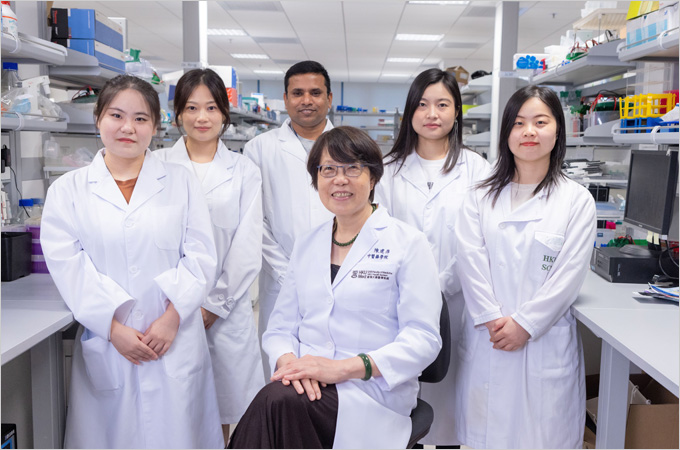 HKUMed research validates TCM liver-breast cancer theory: fatty liver linked to deteriorating breast cancer