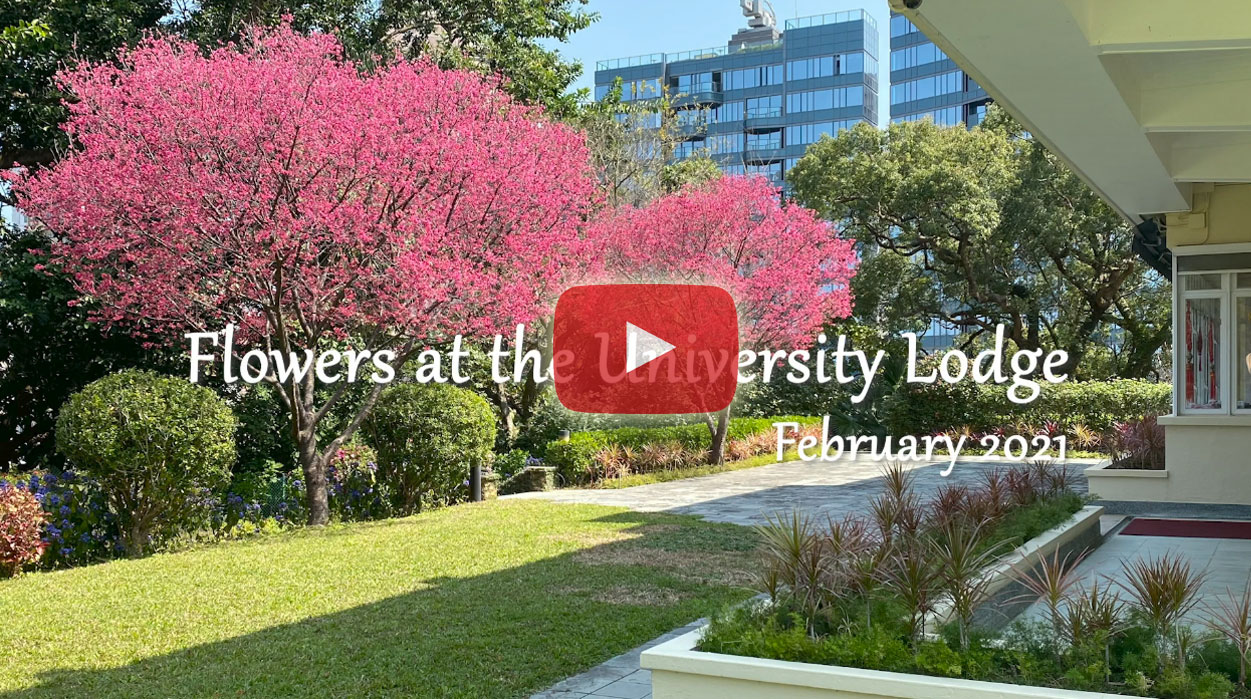 Flowers at the University Lodge